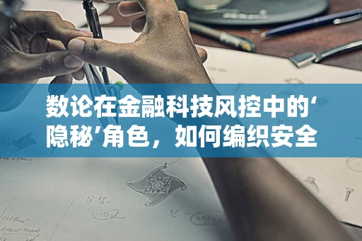 数论在金融科技风控中的‘隐秘’角色，如何编织安全之网？