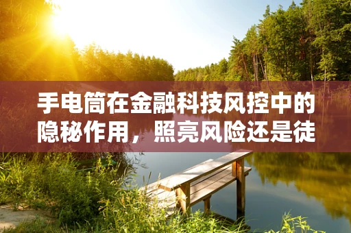 手电筒在金融科技风控中的隐秘作用，照亮风险还是徒增困扰？