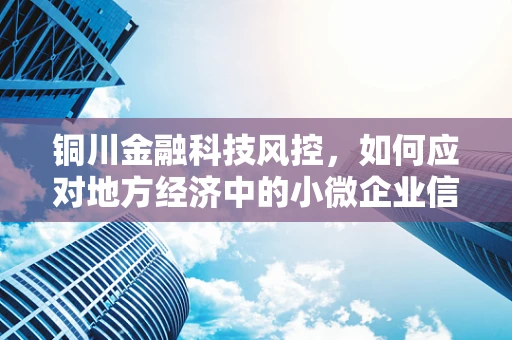 铜川金融科技风控，如何应对地方经济中的小微企业信贷风险？