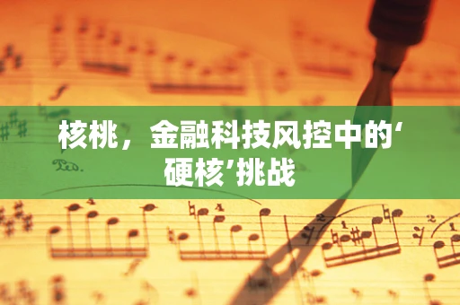 核桃，金融科技风控中的‘硬核’挑战