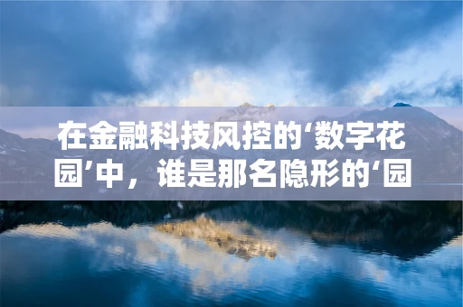 在金融科技风控的‘数字花园’中，谁是那名隐形的‘园丁’？