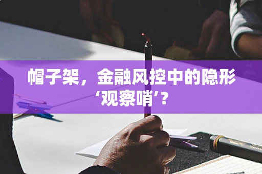 帽子架，金融风控中的隐形‘观察哨’？