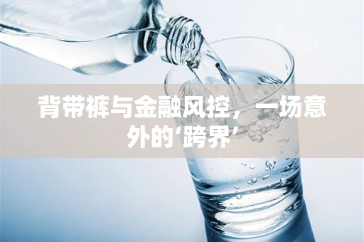 背带裤与金融风控，一场意外的‘跨界’