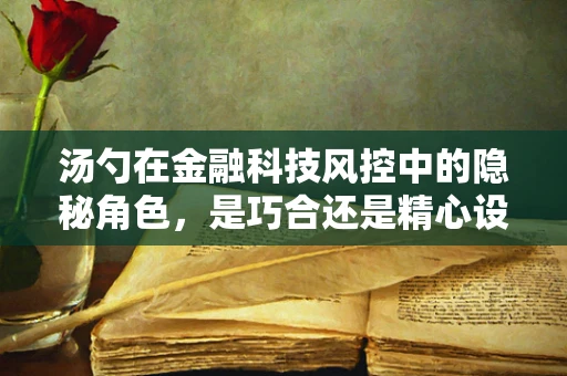 汤勺在金融科技风控中的隐秘角色，是巧合还是精心设计？