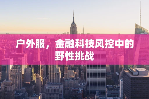户外服，金融科技风控中的野性挑战