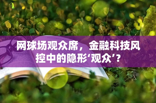 网球场观众席，金融科技风控中的隐形‘观众’？