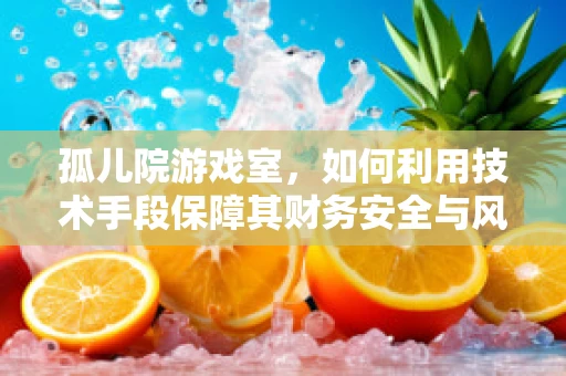 孤儿院游戏室，如何利用技术手段保障其财务安全与风险控制？