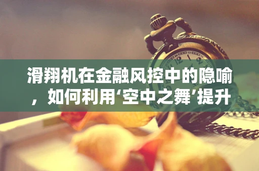 滑翔机在金融风控中的隐喻，如何利用‘空中之舞’提升风险识别精度？