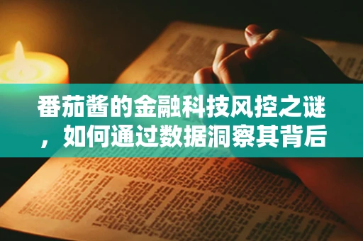 番茄酱的金融科技风控之谜，如何通过数据洞察其背后的风险？
