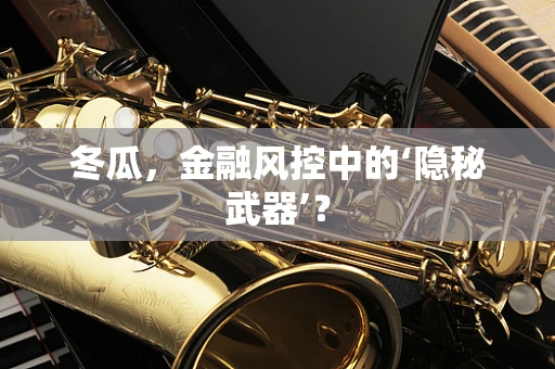 冬瓜，金融风控中的‘隐秘武器’？