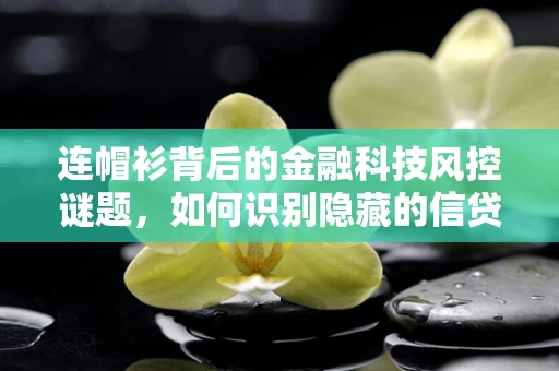 连帽衫背后的金融科技风控谜题，如何识别隐藏的信贷风险？