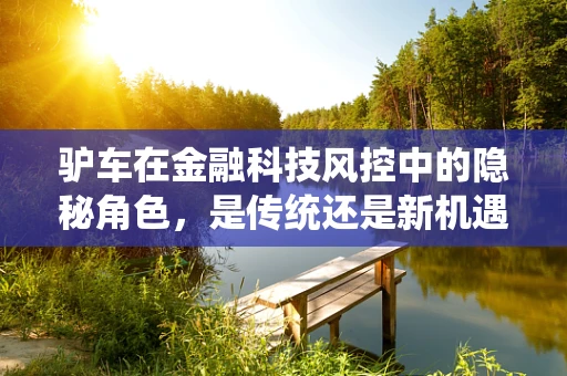 驴车在金融科技风控中的隐秘角色，是传统还是新机遇？