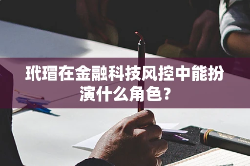 玳瑁在金融科技风控中能扮演什么角色？