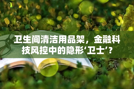 卫生间清洁用品架，金融科技风控中的隐形‘卫士’？