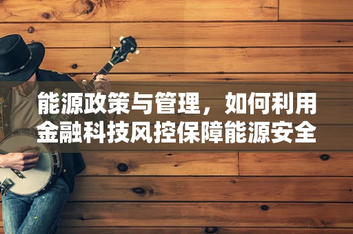 能源政策与管理，如何利用金融科技风控保障能源安全与效率？