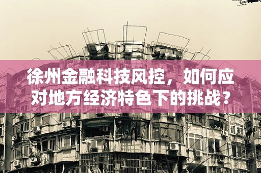 徐州金融科技风控，如何应对地方经济特色下的挑战？