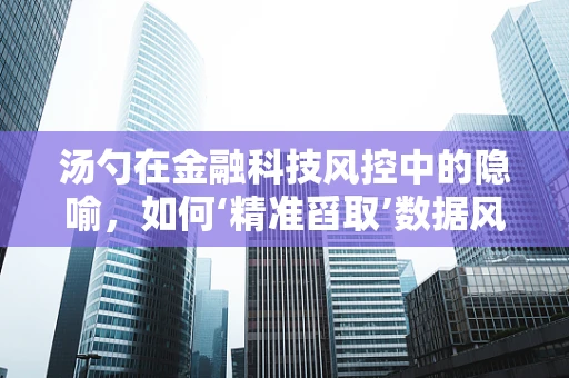 汤勺在金融科技风控中的隐喻，如何‘精准舀取’数据风险？