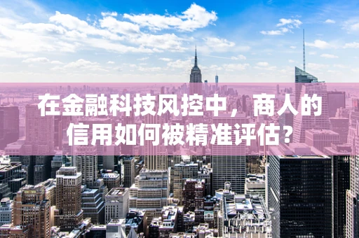 在金融科技风控中，商人的信用如何被精准评估？