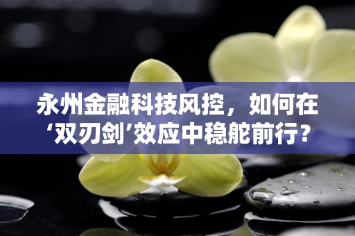 永州金融科技风控，如何在‘双刃剑’效应中稳舵前行？