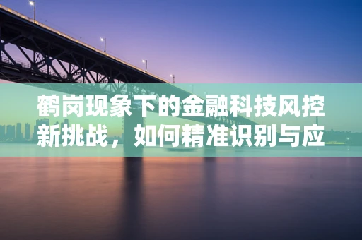 鹤岗现象下的金融科技风控新挑战，如何精准识别与应对低线城市房产风险？