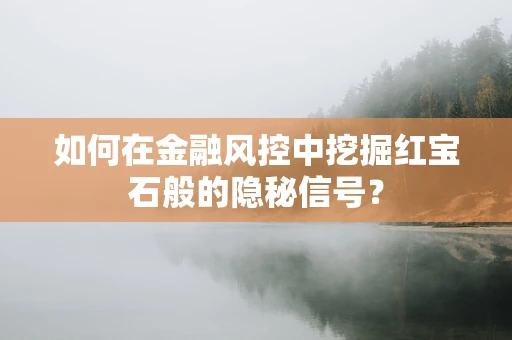 如何在金融风控中挖掘红宝石般的隐秘信号？