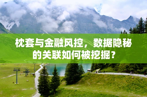 枕套与金融风控，数据隐秘的关联如何被挖掘？