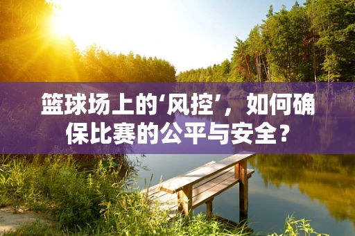 篮球场上的‘风控’，如何确保比赛的公平与安全？