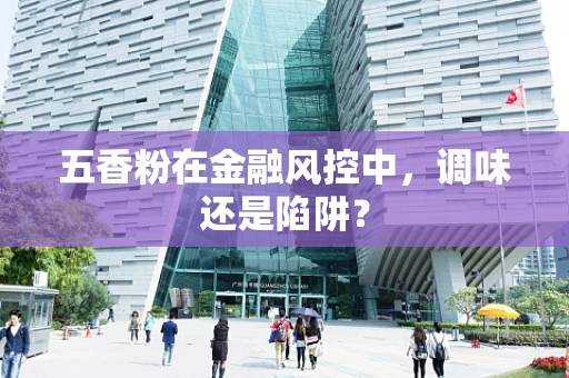 五香粉在金融风控中，调味还是陷阱？