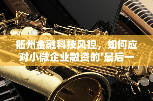 衢州金融科技风控，如何应对小微企业融资的‘最后一公里’挑战？