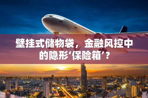壁挂式储物袋，金融风控中的隐形‘保险箱’？