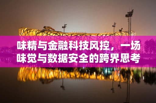 味精与金融科技风控，一场味觉与数据安全的跨界思考？