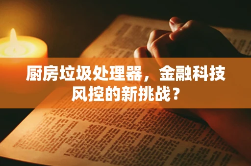 厨房垃圾处理器，金融科技风控的新挑战？