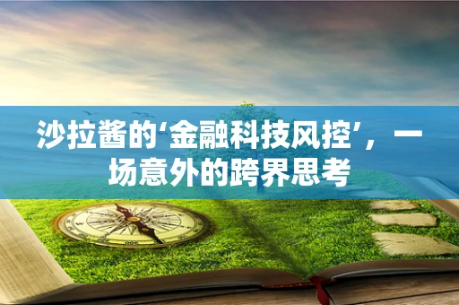 沙拉酱的‘金融科技风控’，一场意外的跨界思考