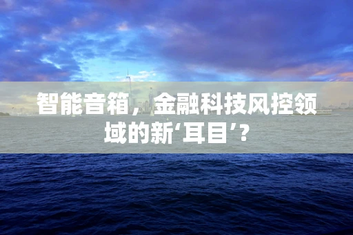 智能音箱，金融科技风控领域的新‘耳目’？