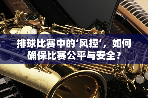 排球比赛中的‘风控’，如何确保比赛公平与安全？