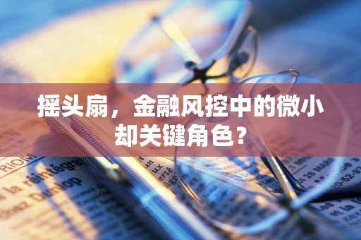 摇头扇，金融风控中的微小却关键角色？