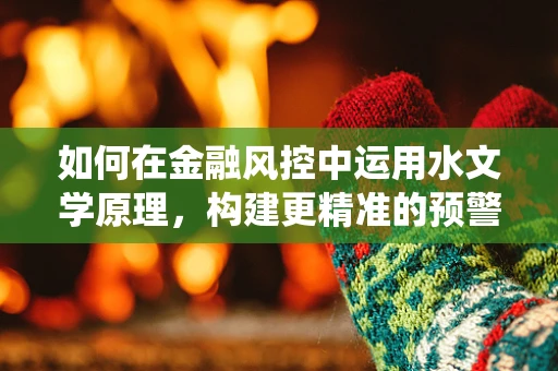 如何在金融风控中运用水文学原理，构建更精准的预警系统？
