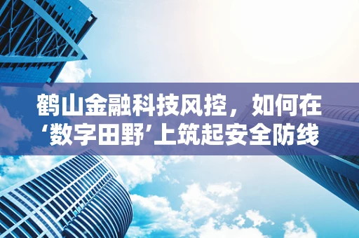 鹤山金融科技风控，如何在‘数字田野’上筑起安全防线？