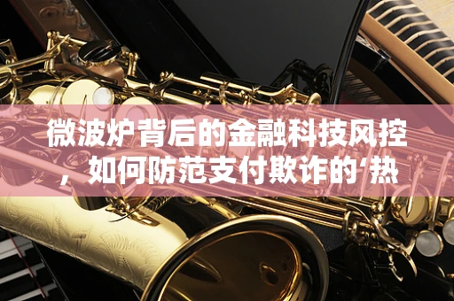 微波炉背后的金融科技风控，如何防范支付欺诈的‘热’点？