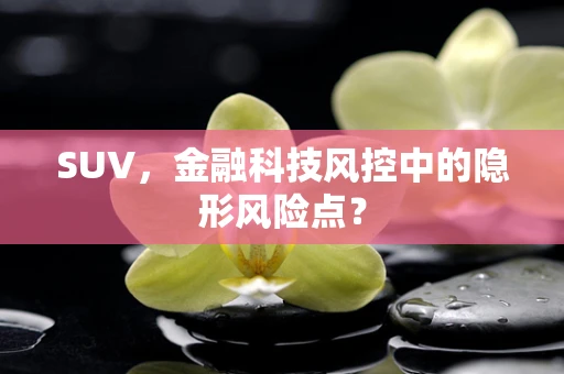 SUV，金融科技风控中的隐形风险点？