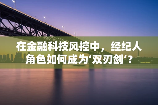 在金融科技风控中，经纪人角色如何成为‘双刃剑’？