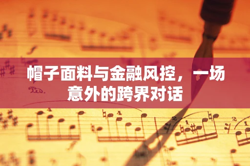 帽子面料与金融风控，一场意外的跨界对话