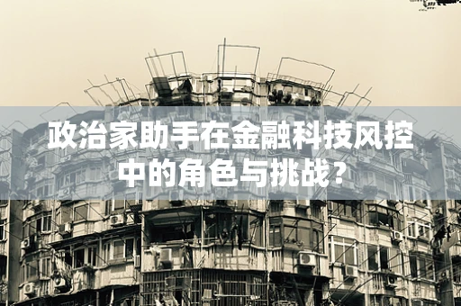 政治家助手在金融科技风控中的角色与挑战？