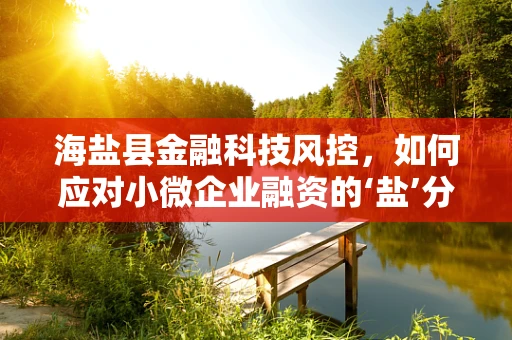 海盐县金融科技风控，如何应对小微企业融资的‘盐’分挑战？