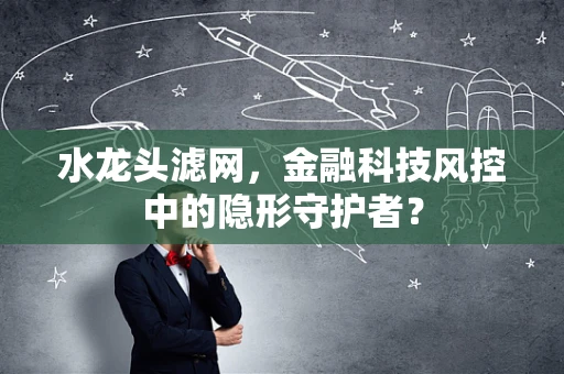 水龙头滤网，金融科技风控中的隐形守护者？