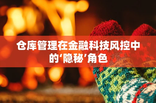 仓库管理在金融科技风控中的‘隐秘’角色