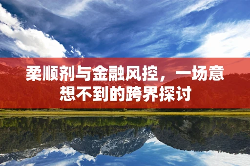 柔顺剂与金融风控，一场意想不到的跨界探讨