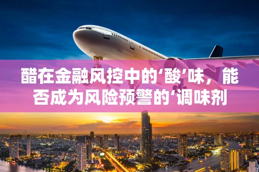 醋在金融风控中的‘酸’味，能否成为风险预警的‘调味剂’？