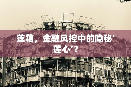 莲藕，金融风控中的隐秘‘莲心’？