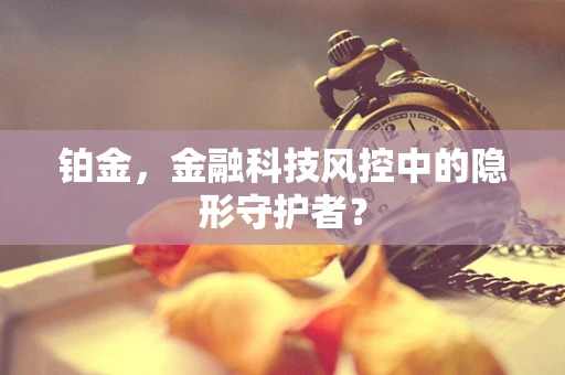 铂金，金融科技风控中的隐形守护者？